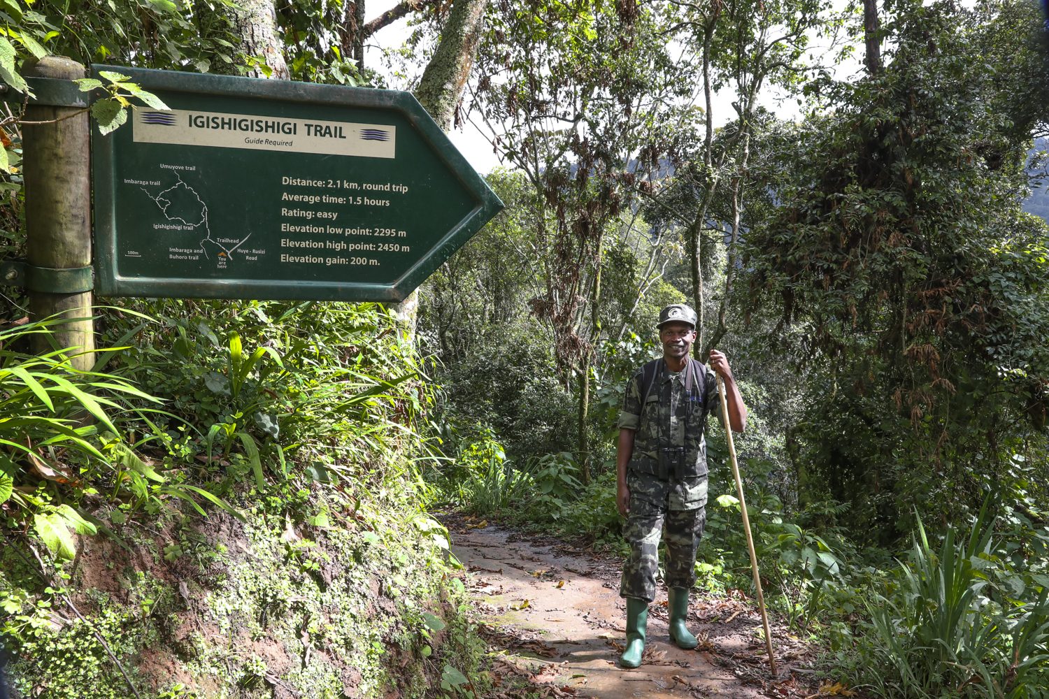 Nyungwe park